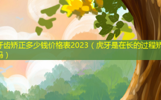 牙齿矫正多少钱价格表2023（虎牙是在长的过程矫正吗）