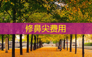 修鼻尖费用