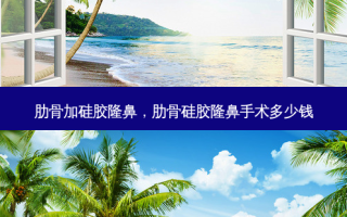 肋骨加硅胶隆鼻，肋骨硅胶隆鼻手术多少钱