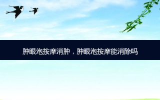 肿眼泡 *** 消肿，肿眼泡 *** 能消除吗