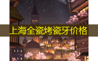 上海全瓷烤瓷牙价格