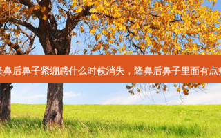 隆鼻后鼻子紧绷感什么时候消失，隆鼻后鼻子里面有点痛