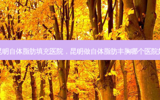 昆明自体脂肪填充医院，昆明做自体脂肪丰胸哪个医院好