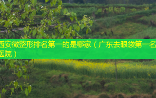 西安微整形的是哪家（广东去眼袋第一名的医院）
