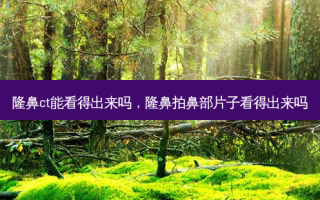 隆鼻ct能看得出来吗，隆鼻拍鼻部片子看得出来吗