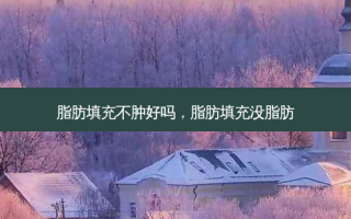 脂肪填充不肿好吗，脂肪填充没脂肪
