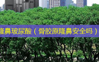 隆鼻玻尿酸（骨胶原隆鼻 *** 吗）
