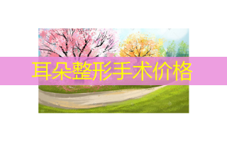 耳朵整形手术价格