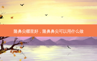 隆鼻尖哪里好，隆鼻鼻尖可以用什么做