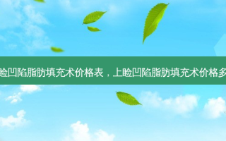 上睑凹陷脂肪填充术价格表，上睑凹陷脂肪填充术价格多少