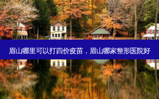眉山哪里可以打四价疫苗，眉山哪家整形医院好