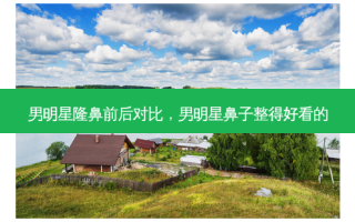 男明星隆鼻前后对比，男明星鼻子整得好看的