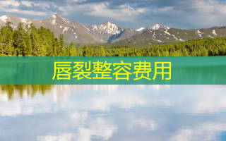 唇裂整容费用
