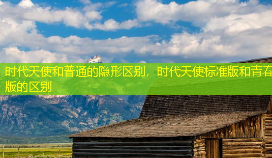 时代天使和普通的隐形区别,时代天使标准版和青春版的区别-第1张图片-美呗严选网 时代天使和普通的隐形区别,时代天使标准版和青春版的区别-第1张图片-美呗严选网
