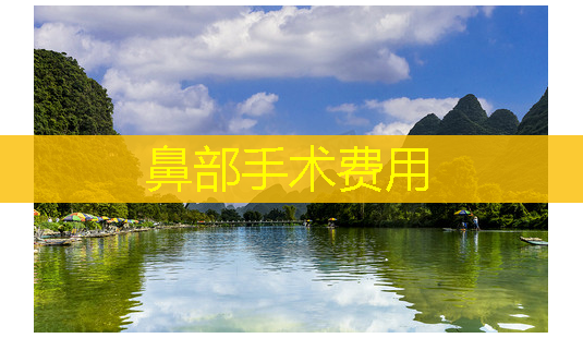 鼻部手术费用-第1张图片-美呗严选网 鼻部手术费用-第1张图片-美呗严选网