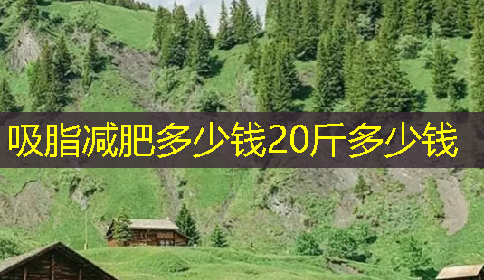吸脂减肥多少钱20斤多少钱-第1张图片-美呗严选网 吸脂减肥多少钱20斤多少钱-第1张图片-美呗严选网