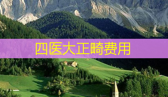 四医大正畸费用-第1张图片-美呗严选网 四医大正畸费用-第1张图片-美呗严选网