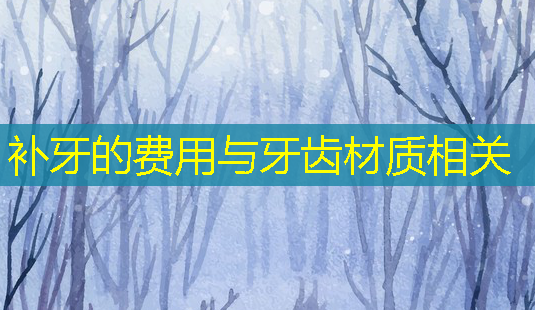 补牙的费用与牙齿材质相关-第1张图片-美呗严选网 补牙的费用与牙齿材质相关-第1张图片-美呗严选网