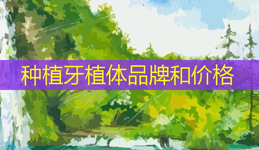 种植牙植体品牌和价格-第1张图片-美呗严选网 种植牙植体品牌和价格-第1张图片-美呗严选网