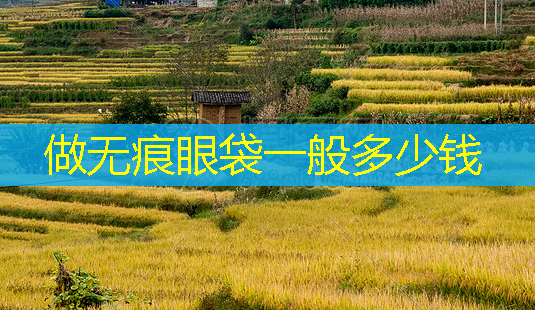 做无痕眼袋一般多少钱-第1张图片-美呗严选网 做无痕眼袋一般多少钱-第1张图片-美呗严选网