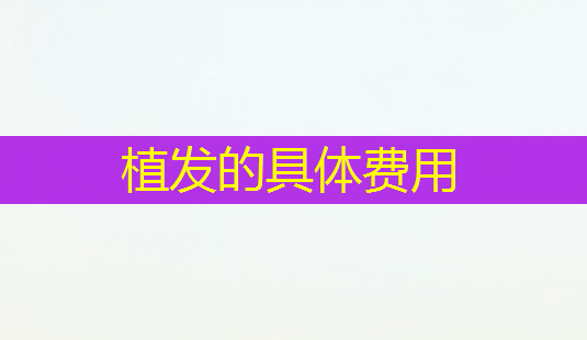 植发的具体费用-第1张图片-美呗严选网