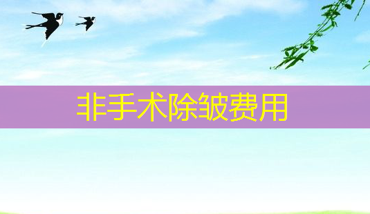非手术除皱费用-第1张图片-美呗严选网 非手术除皱费用-第1张图片-美呗严选网