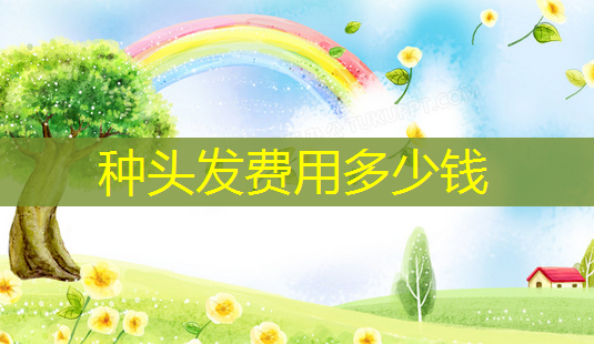 种头发费用多少钱-第1张图片-美呗严选网