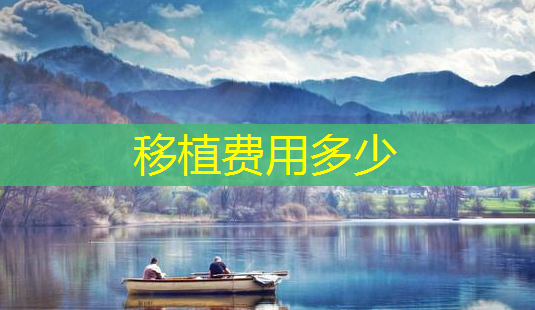 移植费用多少-第1张图片-美呗严选网 移植费用多少-第1张图片-美呗严选网