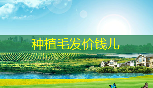 种植毛发价钱儿-第1张图片-美呗严选网 种植毛发价钱儿-第1张图片-美呗严选网