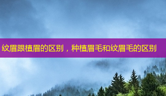 纹眉跟植眉的区别,种植眉毛和纹眉毛的区别-第1张图片-美呗严选网 纹眉跟植眉的区别,种植眉毛和纹眉毛的区别-第1张图片-美呗严选网