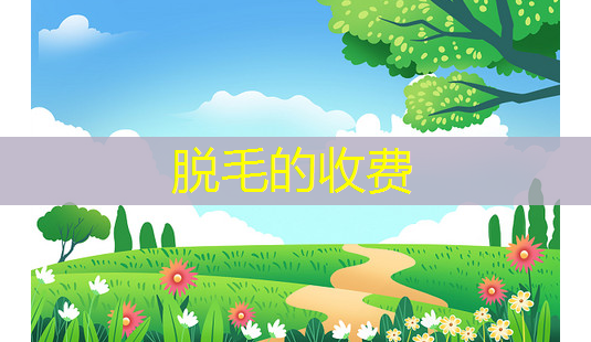 脱毛的收费-第1张图片-美呗严选网