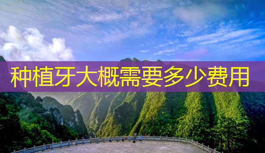 种植牙大概需要多少费用-第1张图片-美呗严选网 种植牙大概需要多少费用-第1张图片-美呗严选网