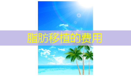 脂肪移植的费用-第1张图片-美呗严选网