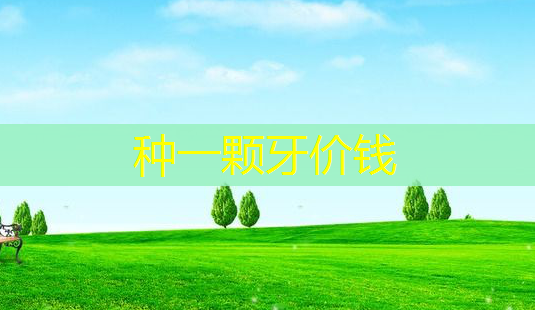 种一颗牙价钱-第1张图片-美呗严选网 种一颗牙价钱-第1张图片-美呗严选网