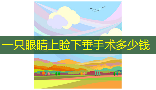 一只眼睛上睑下垂手术多少钱-第1张图片-美呗严选网
