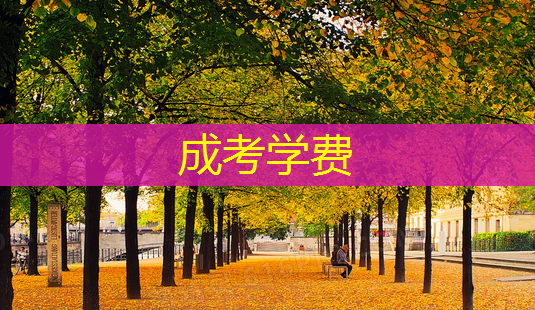 成考学费-第1张图片-美呗严选网 成考学费-第1张图片-美呗严选网