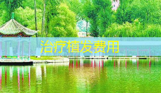 植发费用-第1张图片-美呗严选网