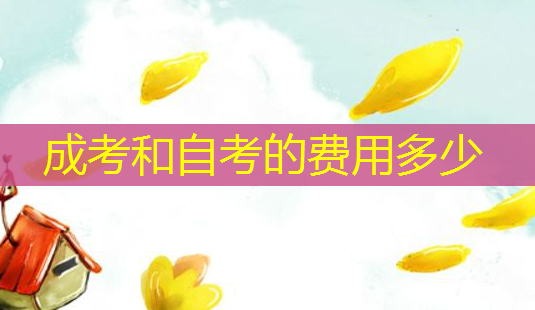 成考和自考的费用多少-第1张图片-美呗严选网
