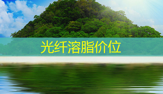 光纤溶脂价位-第1张图片-美呗严选网