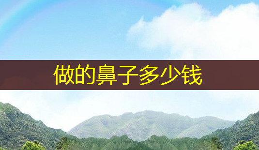 做的鼻子多少钱-第1张图片-美呗严选网