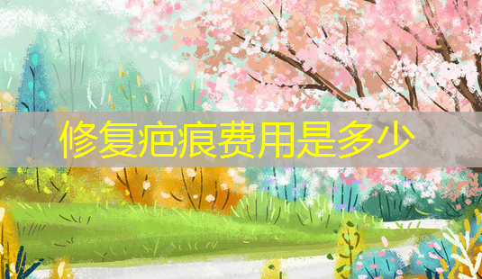 修复疤痕费用是多少-第1张图片-美呗严选网