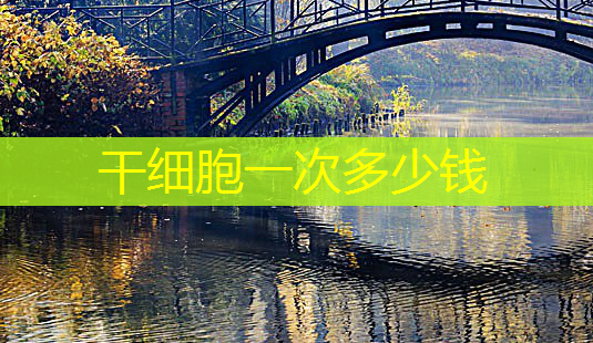 干细胞一次多少钱-第1张图片-美呗严选网