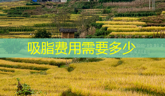 吸脂费用需要多少-第1张图片-美呗严选网