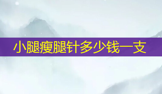 小腿瘦腿针多少钱一支-第1张图片-美呗严选网