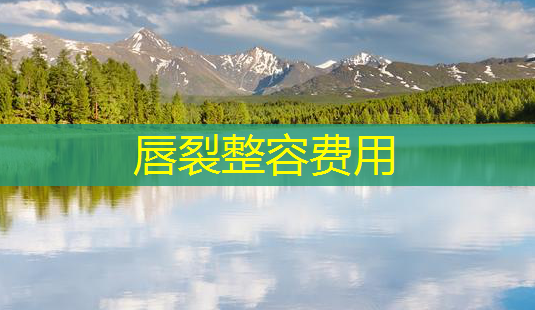 唇裂整容费用-第1张图片-美呗严选网