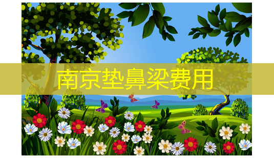 南京垫鼻梁费用-第1张图片-美呗严选网 南京垫鼻梁费用-第1张图片-美呗严选网