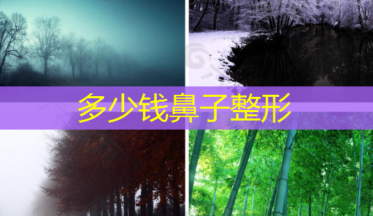 多少钱鼻子整形-第1张图片-美呗严选网 多少钱鼻子整形-第1张图片-美呗严选网