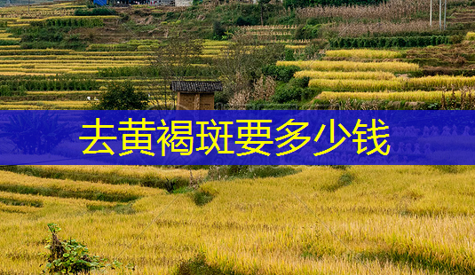 去黄褐斑要多少钱-第1张图片-美呗严选网