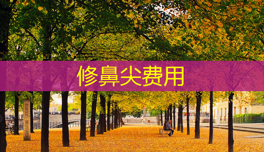 修鼻尖费用-第1张图片-美呗严选网 修鼻尖费用-第1张图片-美呗严选网