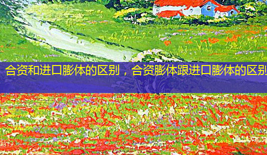 合资和进口膨体的区别,合资膨体跟进口膨体的区别-第1张图片-美呗严选网 合资和进口膨体的区别,合资膨体跟进口膨体的区别-第1张图片-美呗严选网